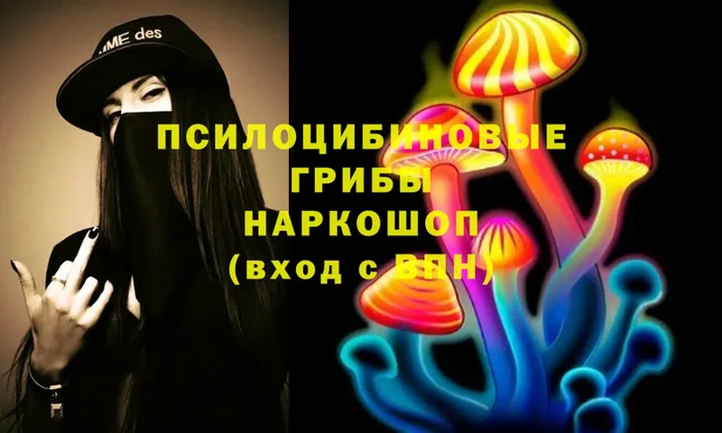 Псилоцибиновые грибы Psilocybe  магазин продажи   Новошахтинск 