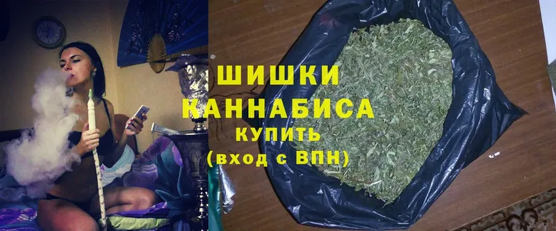 где продают наркотики  Новошахтинск  Конопля SATIVA & INDICA 